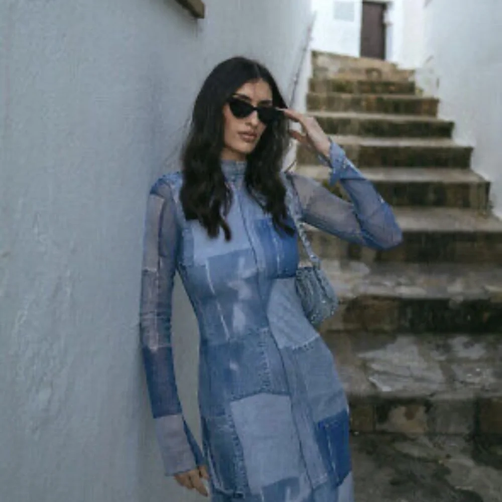 ZARA BLOGGERS FAV PATCHWORK WORK TULLE DRESS - Picture 7 of 14